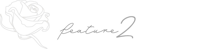 feature 2